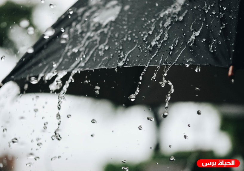 طقس فلسطين اليوم: الأجواء معتدلة مع تساقط لزخات من الأمطار فوق معظم المناطق